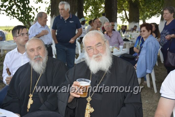 alexandriamou.gr_trikala28.5.2018425